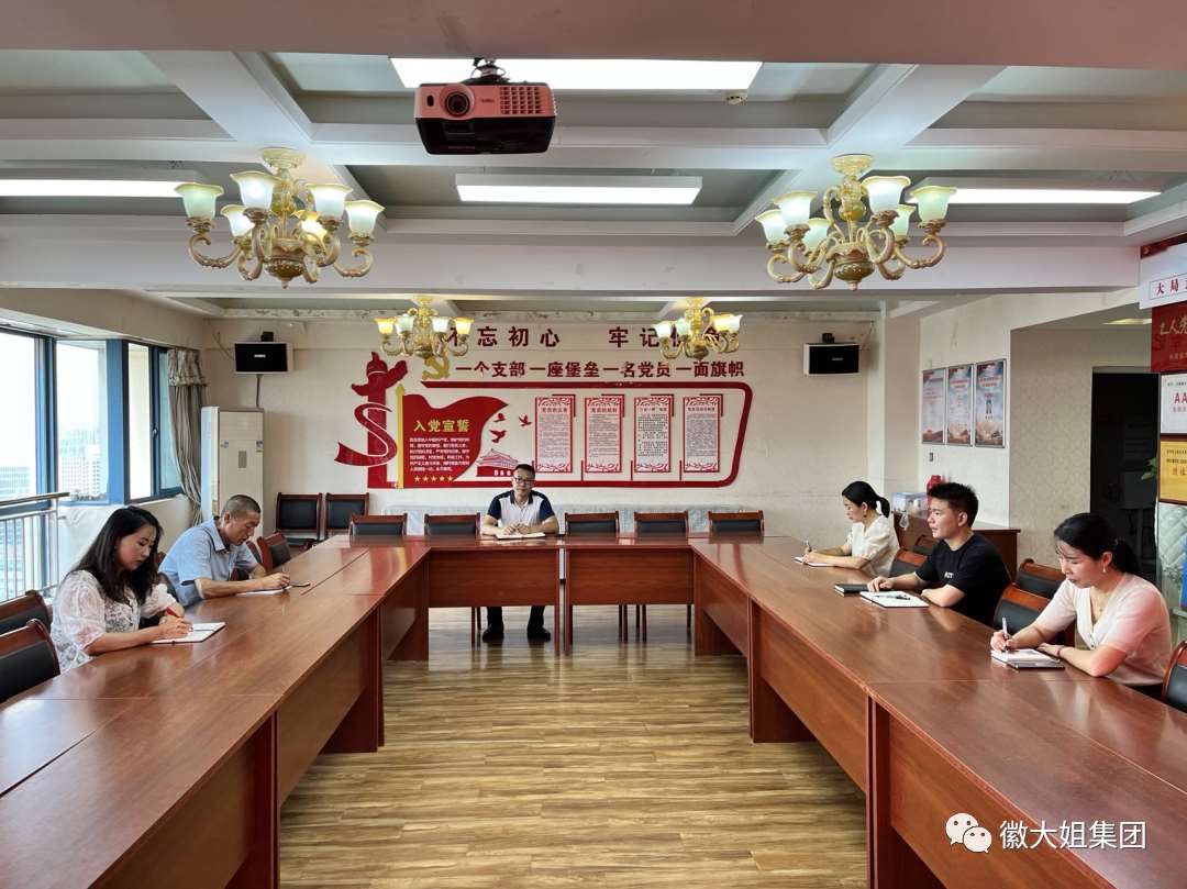 徽大姐集團(tuán)黨支部開展8月份主題黨日活動——學(xué)習(xí)習(xí)主席重要講話精神